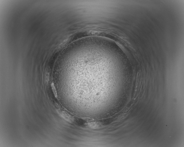 X0000077990417200611101733