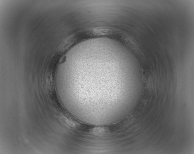 X0000077990418200611101733