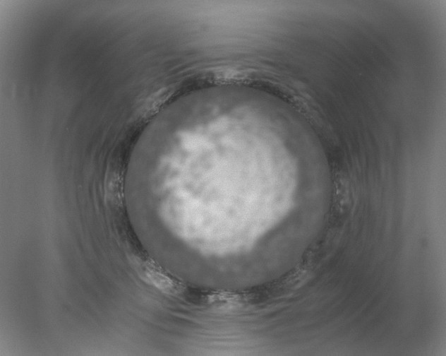 X0000077990419200611101733