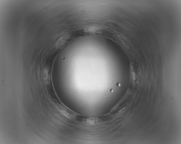 X0000077990420200611101733