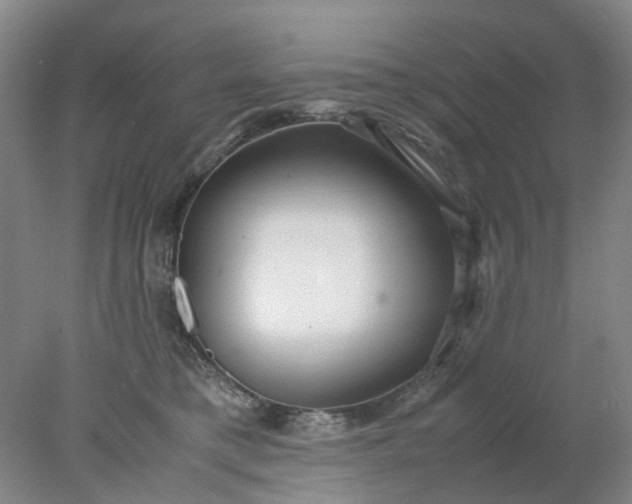 X0000077990421200611101733