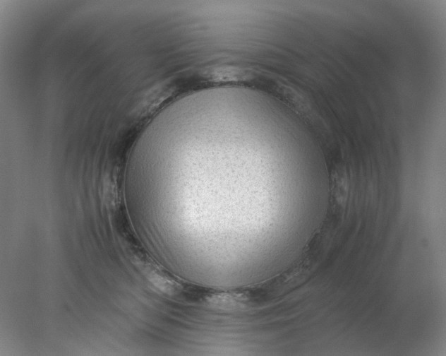 X0000077990422200611101733