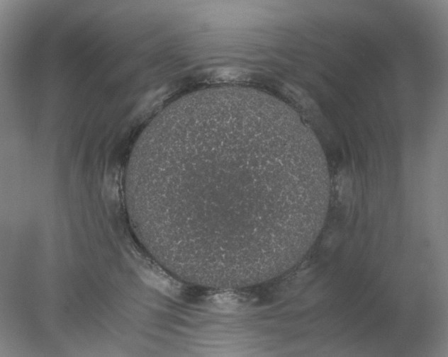 X0000077990423200611101733