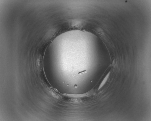 X0000077990424200611101733