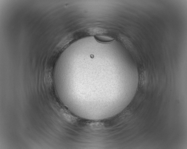 X0000077990426200611101733