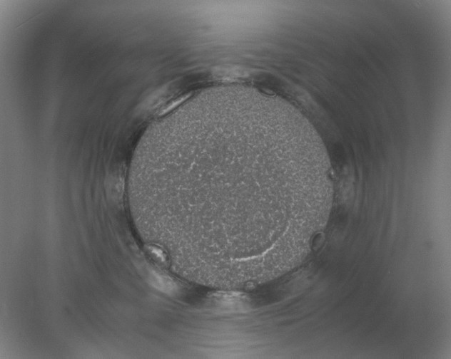 X0000077990427200611101733