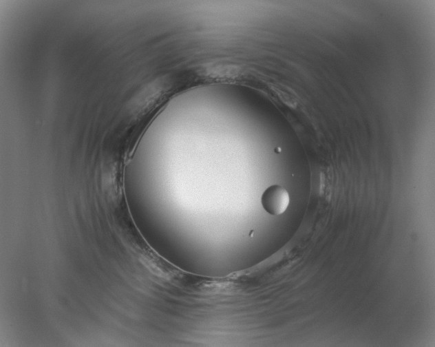 X0000077990428200611101733