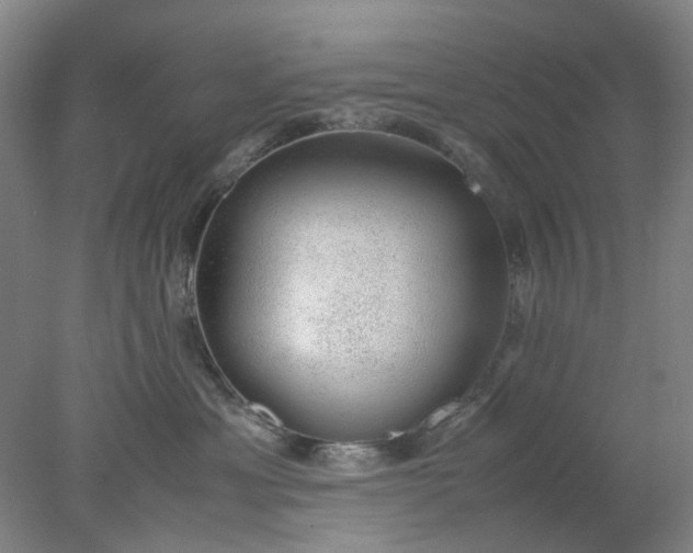 X0000077990429200611101733