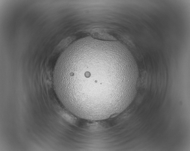 X0000077990430200611101733