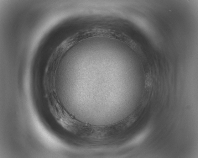 X0000077990431200611101733