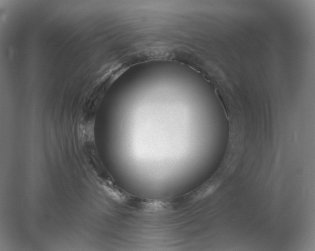 X0000077990432200611101733