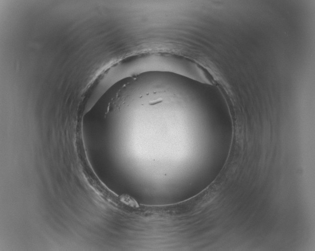 X0000077990434200611101732