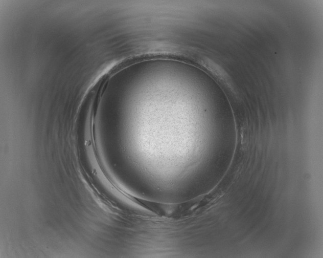 X0000077990436200611101732