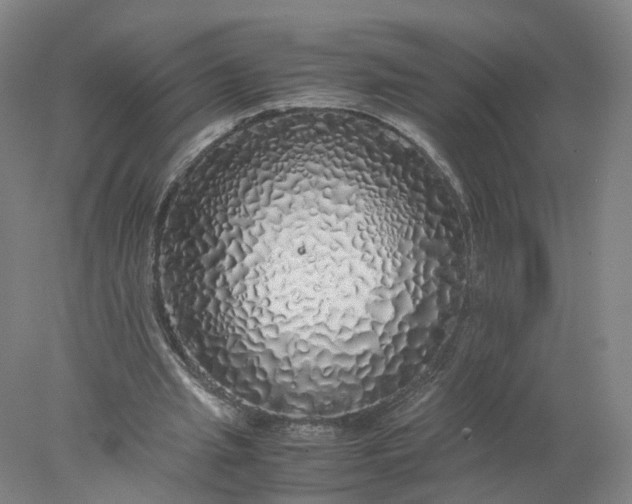 X0000077990437200611101732