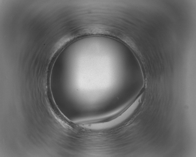 X0000077990438200611101732