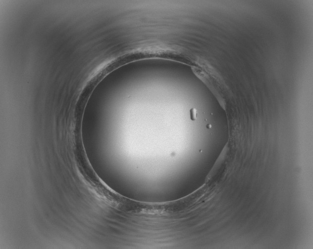 X0000077990440200611101732