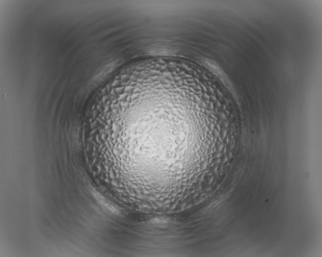 X0000077990441200611101732