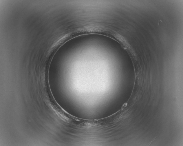 X0000077990442200611101732