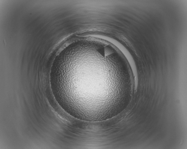 X0000077990444200611101732