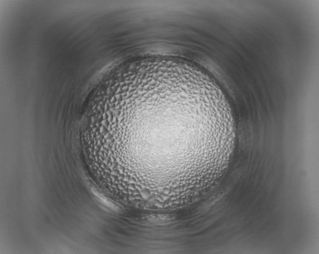 X0000077990445200611101732