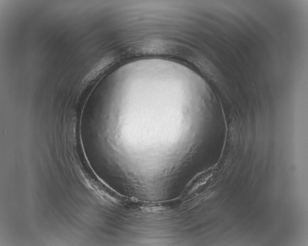 X0000077990446200611101732