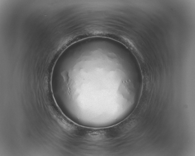 X0000077990447200611101732