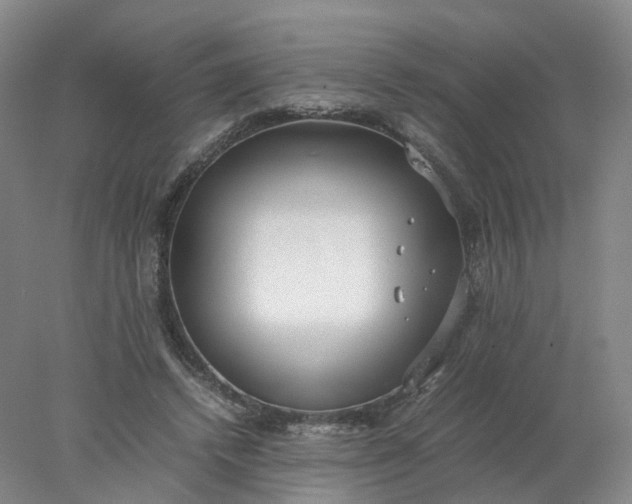 X0000077990448200611101732