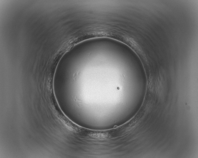 X0000077990449200611101732