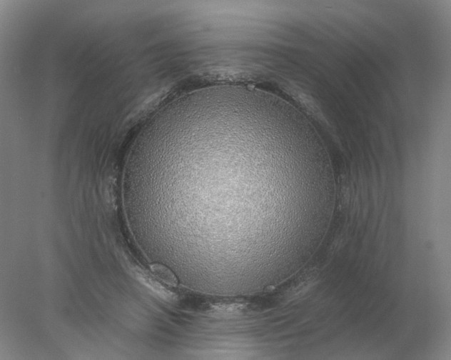 X0000077990450200611101732