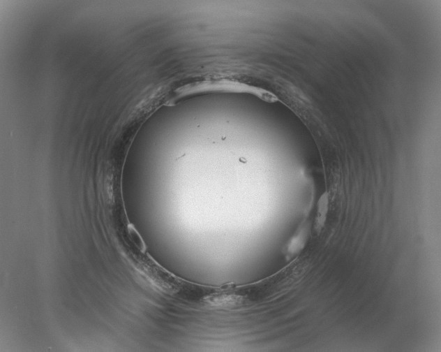 X0000077990452200611101732