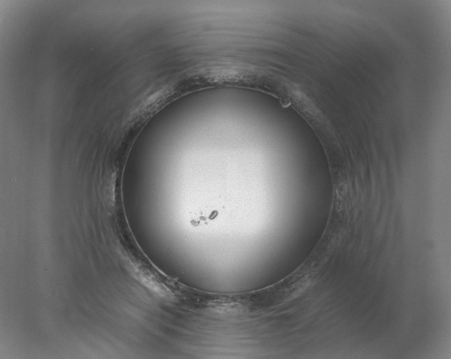 X0000077990454200611101732