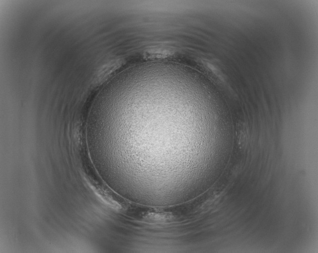 X0000077990455200611101733