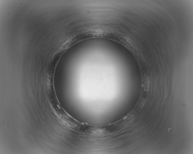 X0000077990456200611101733