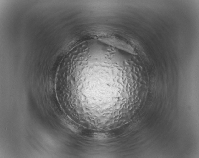 X0000077990457200611101733