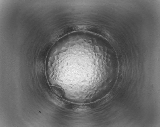 X0000077990459200611101733