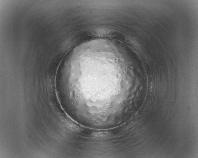 X0000077990461200611101733