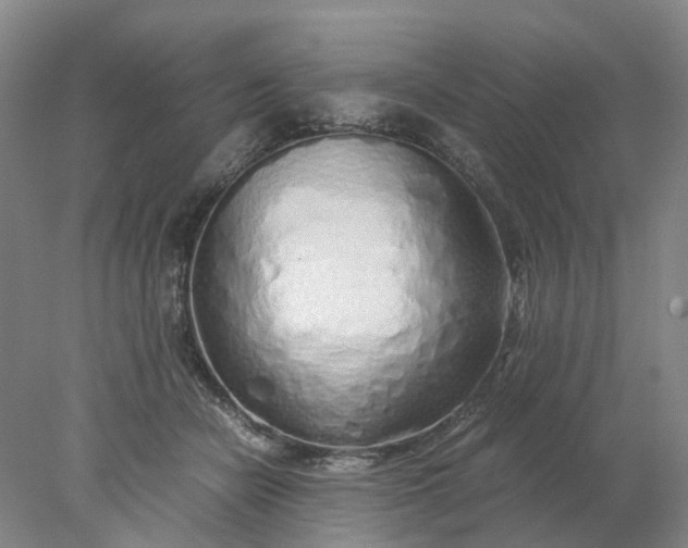 X0000077990462200611101733