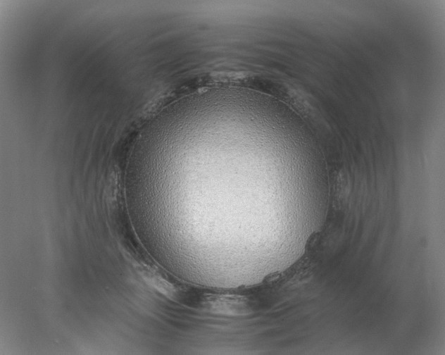 X0000077990463200611101733