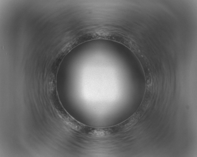 X0000077990464200611101733