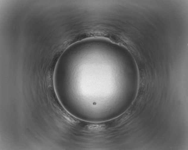 X0000077990465200611101733