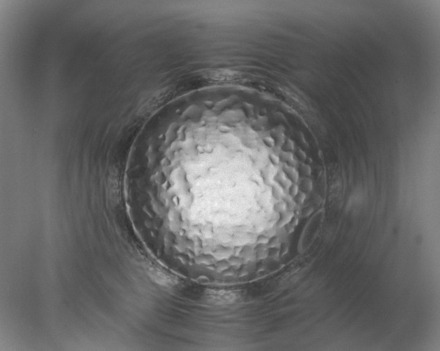 X0000077990469200611101733