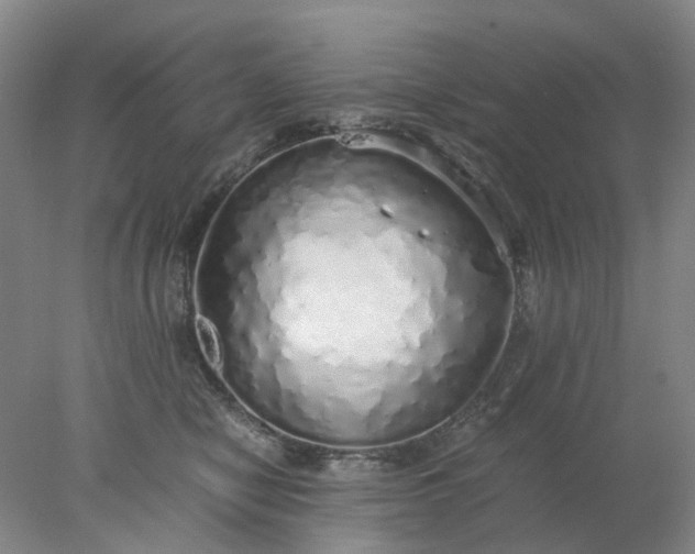 X0000077990470200611101733