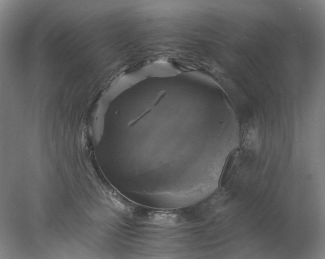 X0000077990471200611101733