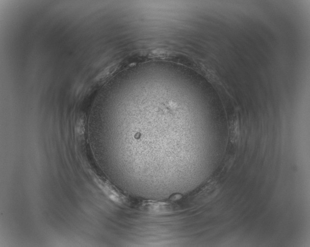 X0000077990472200611101733