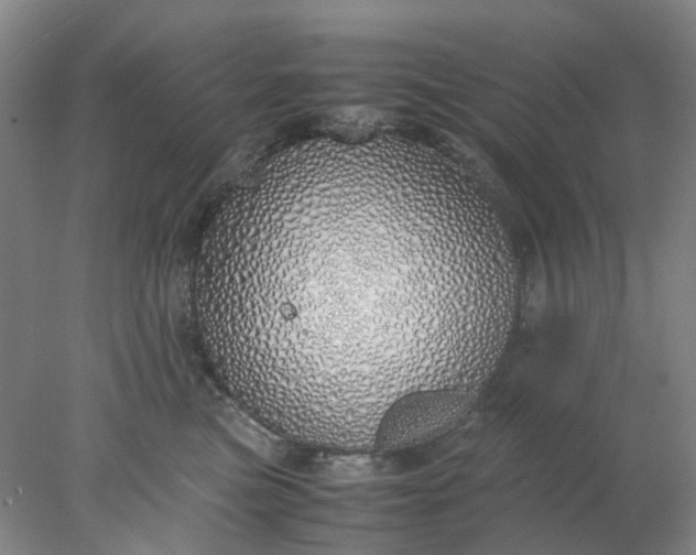 X0000077990473200611101733