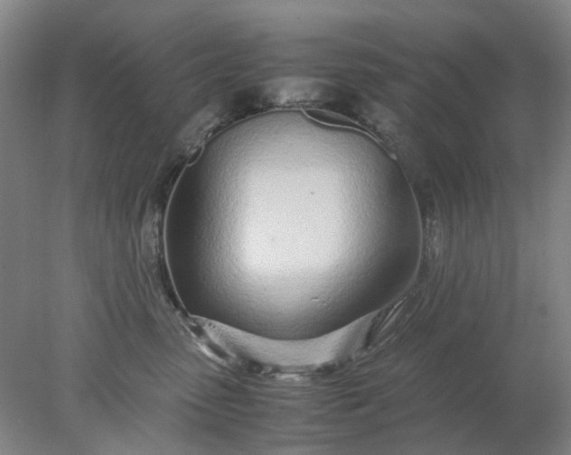 X0000077990475200611101733