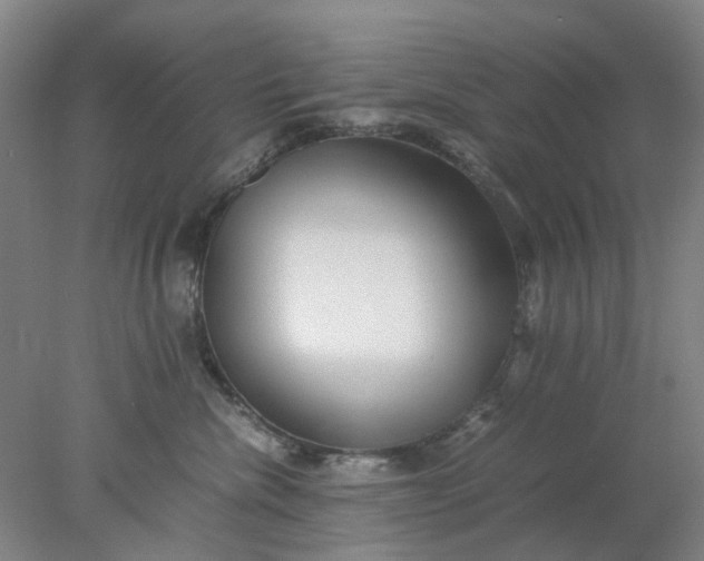 X0000077990476200611101733