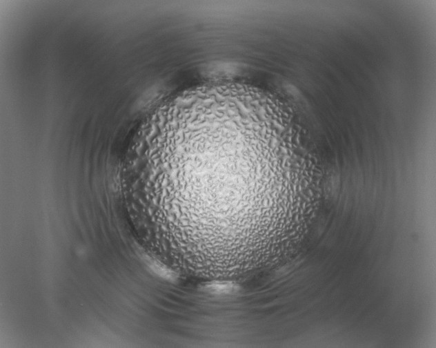 X0000077990477200611101733