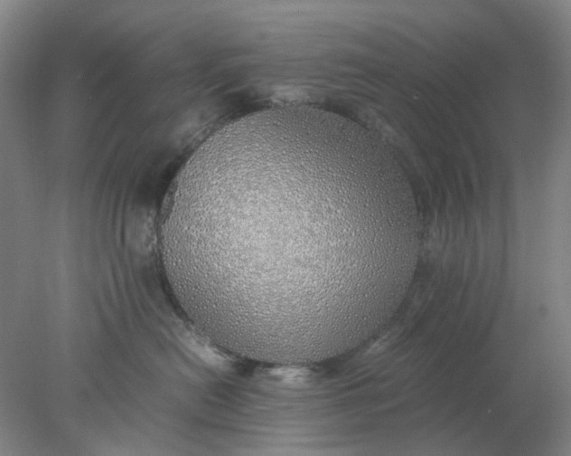 X0000077990478200611101733