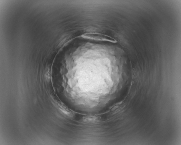 X0000077990479200611101733